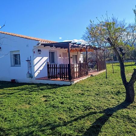 Casa De Campo Los Manueles Ideal Perros Pet Friendly Gojar 외부 사진