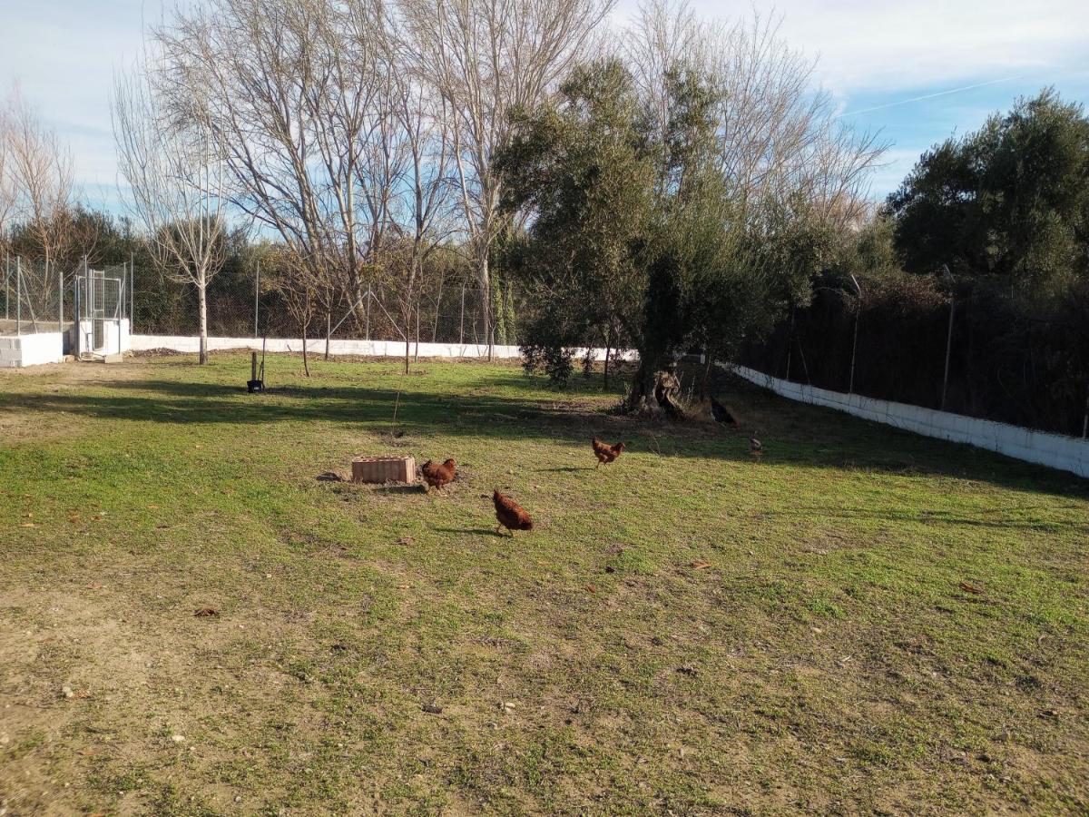Casa De Campo Los Manueles Ideal Perros Pet Friendly Gojar 외부 사진