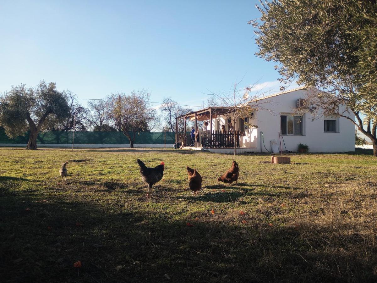 Casa De Campo Los Manueles Ideal Perros Pet Friendly Gojar 외부 사진