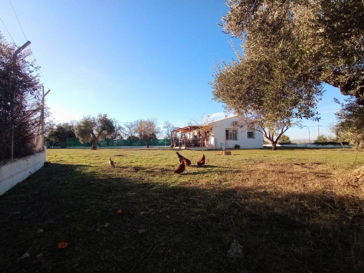 Casa De Campo Los Manueles Ideal Perros Pet Friendly Gojar 외부 사진