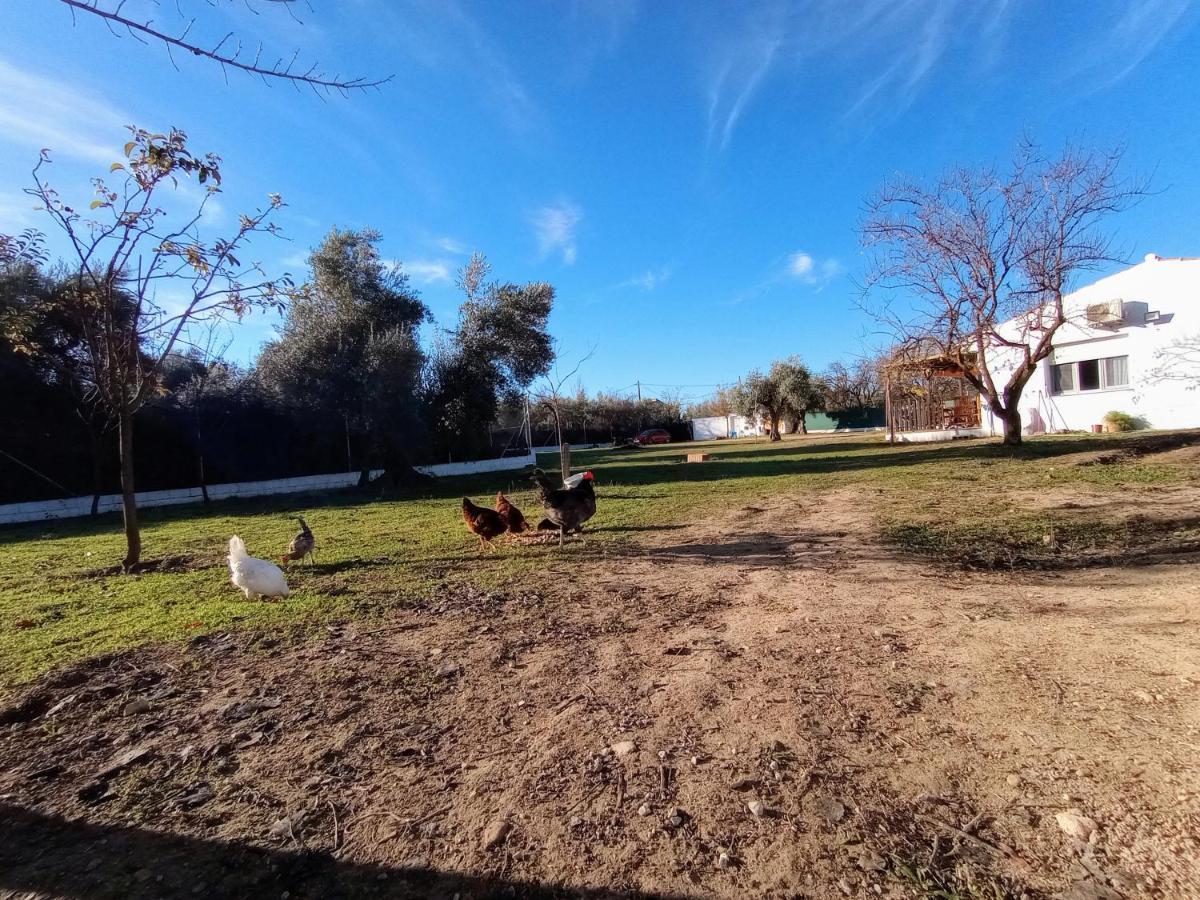 Casa De Campo Los Manueles Ideal Perros Pet Friendly Gojar 외부 사진