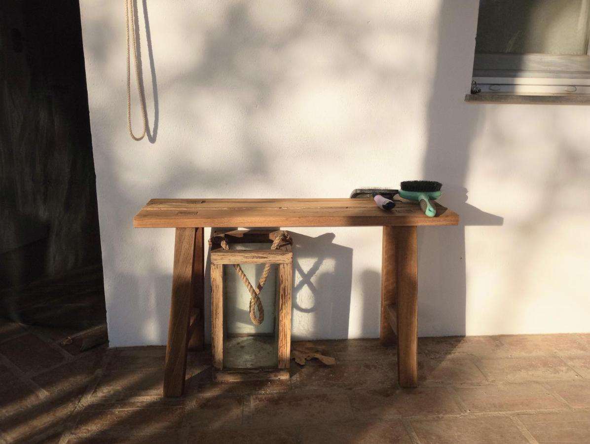 Casa De Campo Los Manueles Ideal Perros Pet Friendly Gojar 외부 사진