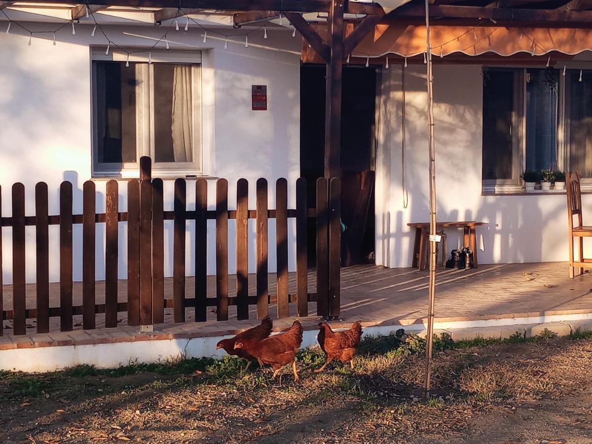 Casa De Campo Los Manueles Ideal Perros Pet Friendly Gojar 외부 사진