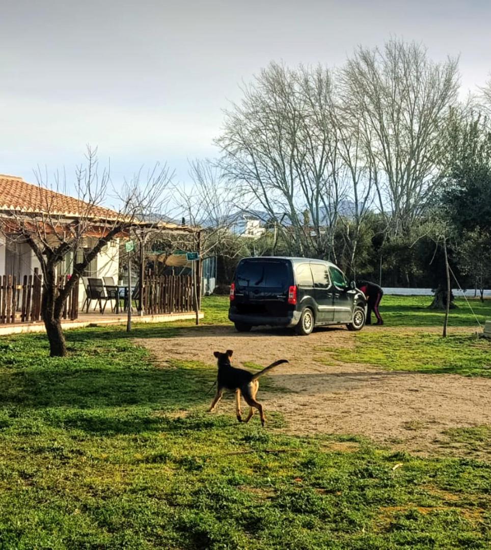 Casa De Campo Los Manueles Ideal Perros Pet Friendly Gojar 외부 사진