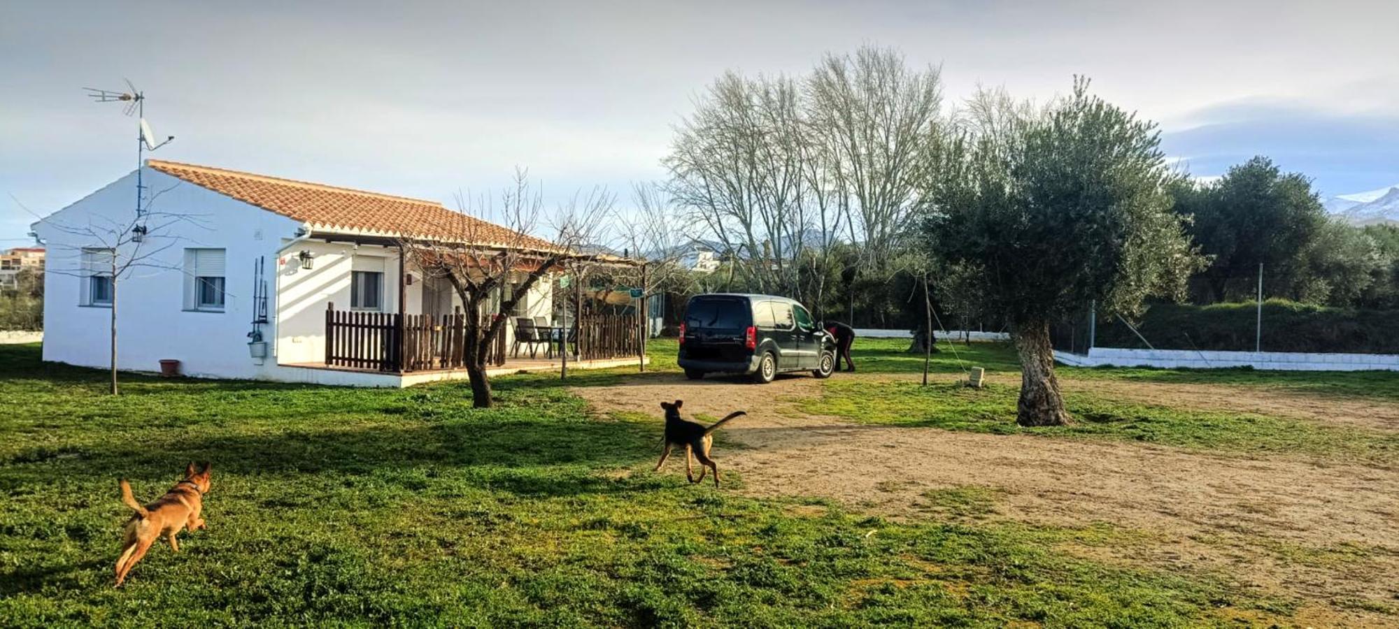 Casa De Campo Los Manueles Ideal Perros Pet Friendly Gojar 외부 사진